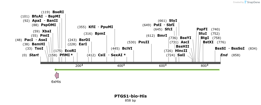 94093_map
