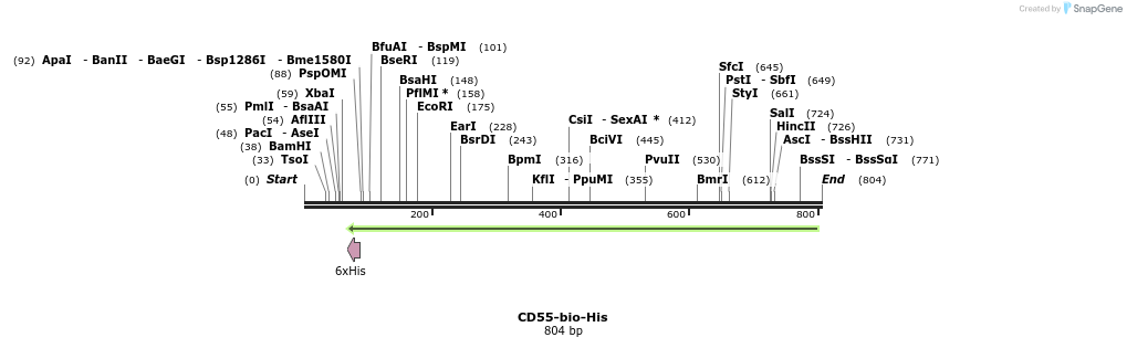 94095_map