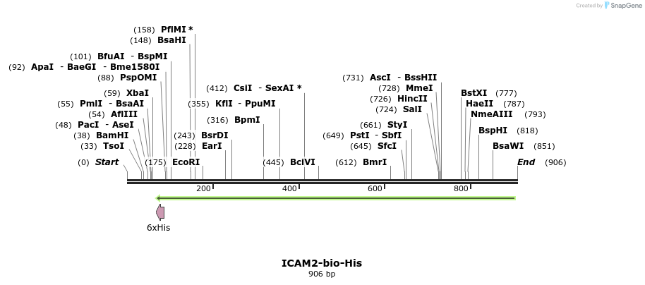 94096_map