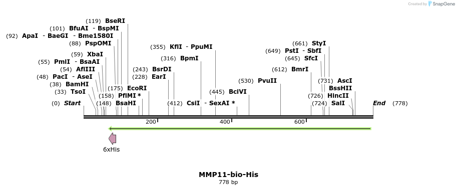 94097_map
