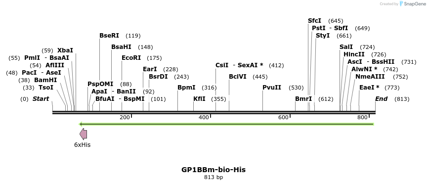 94098_map
