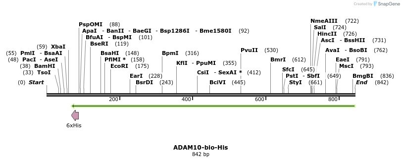94100_map