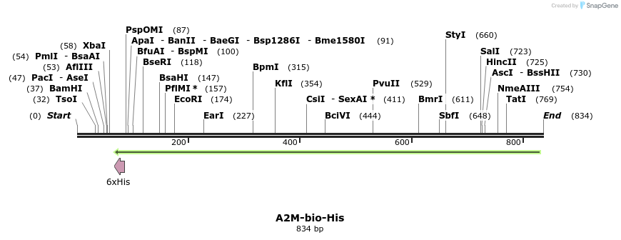 94101_map