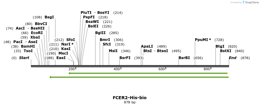 94102_map