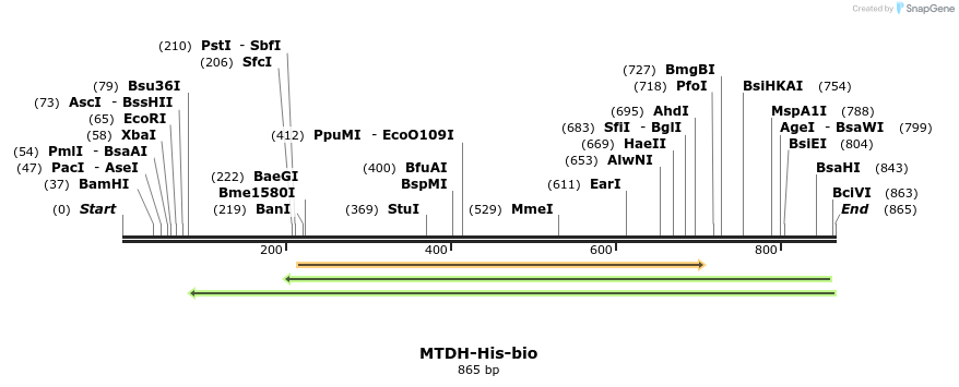 94103_map