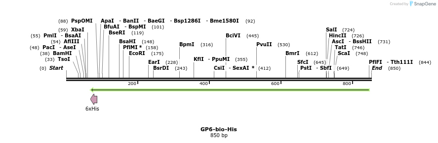 94104_map