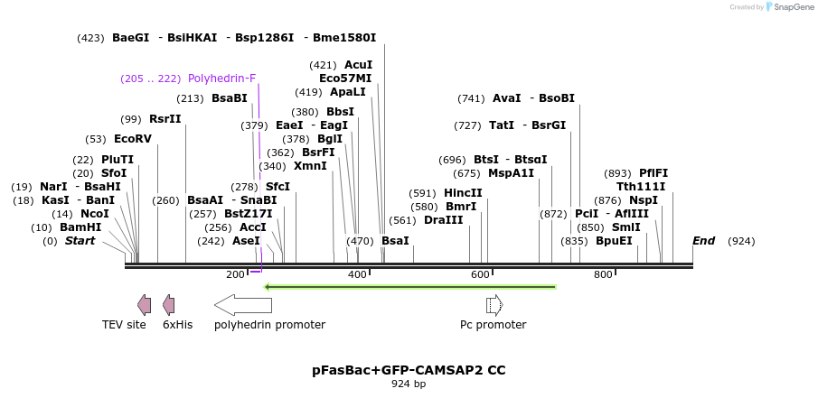 94107_map