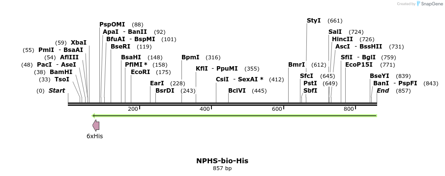 94109_map