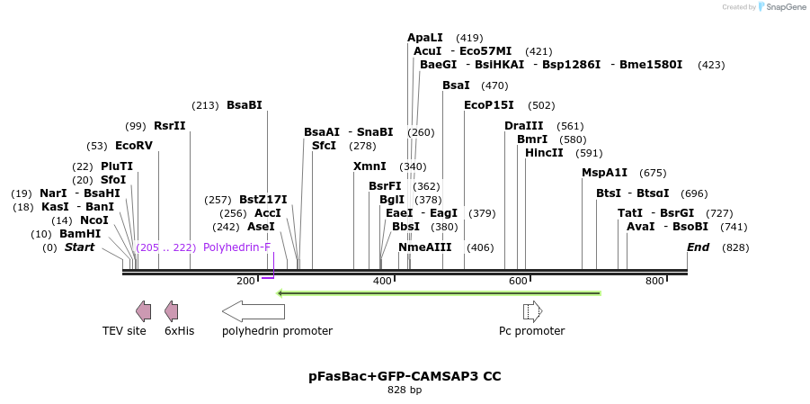 94111_map