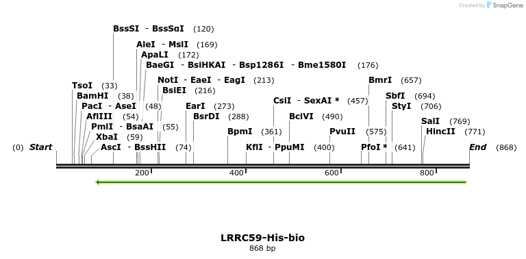 94113_map