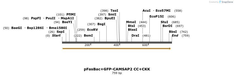 94116_map