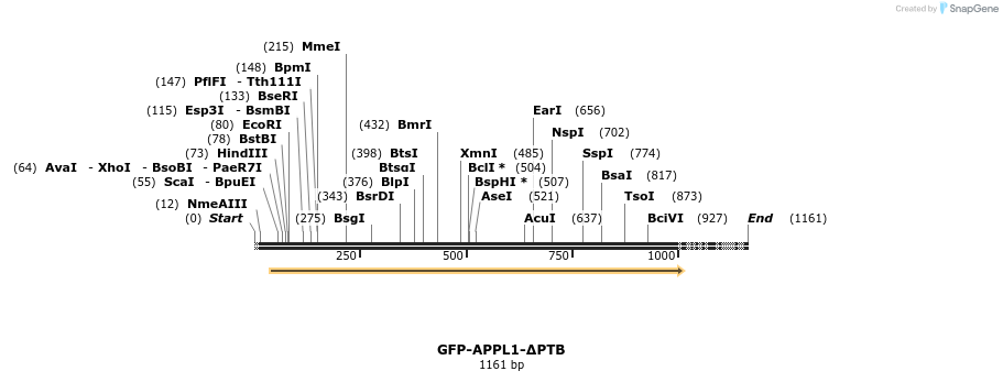94119_map