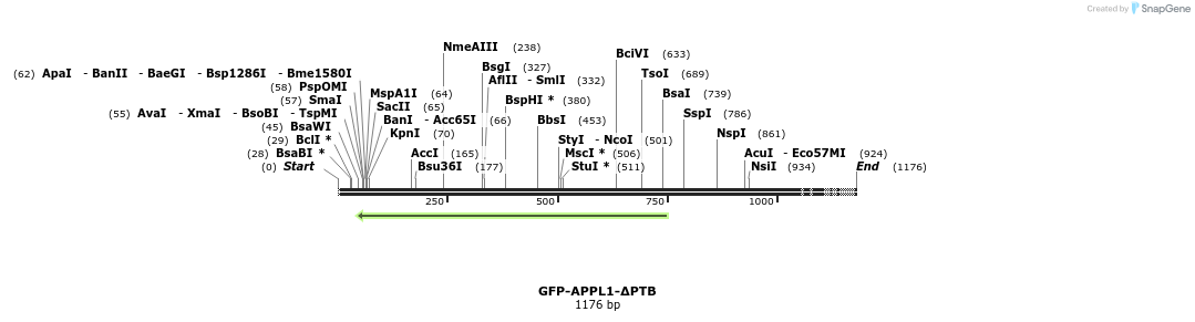 94120_map