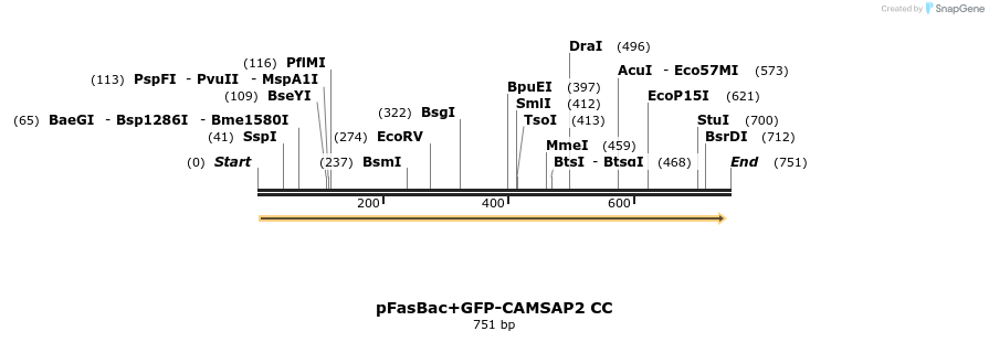 94121_map