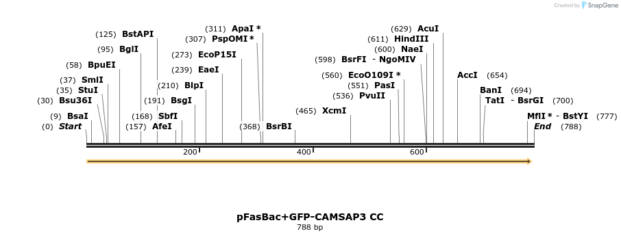 94122_map