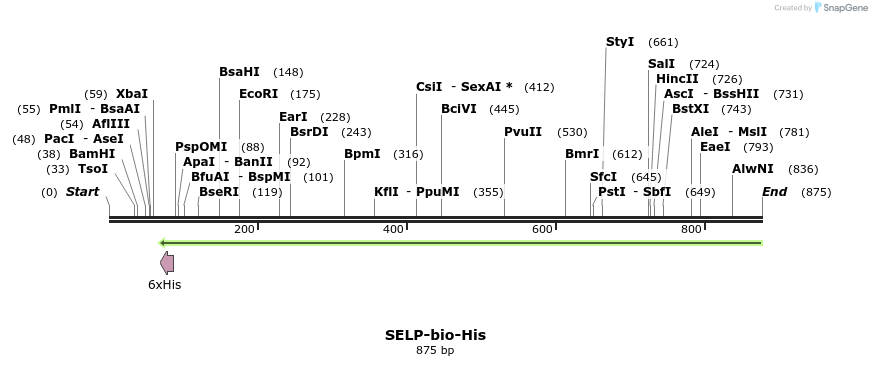 94123_map