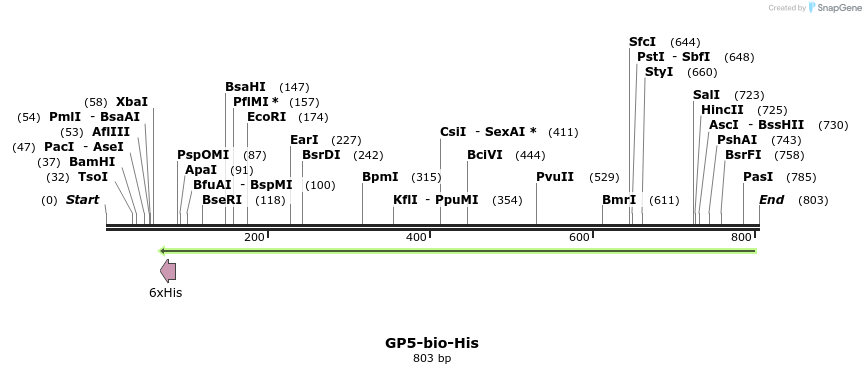 94124_map