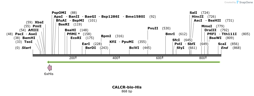 94125_map