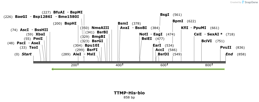 94129_map