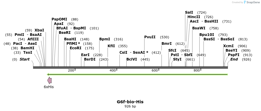 94135_map