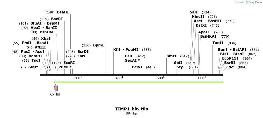 94136_map