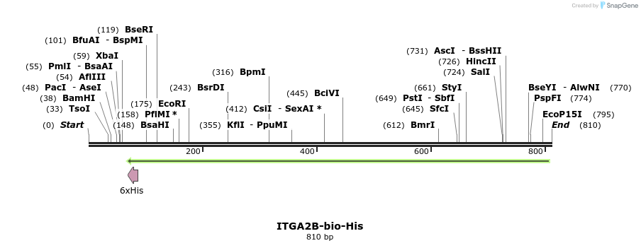 94137_map