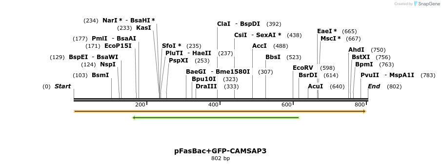 94142_map