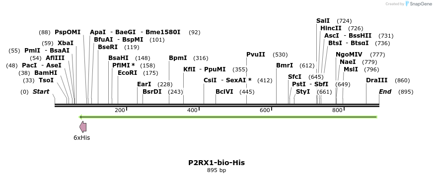 94143_map
