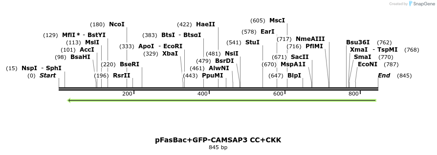 94149_map