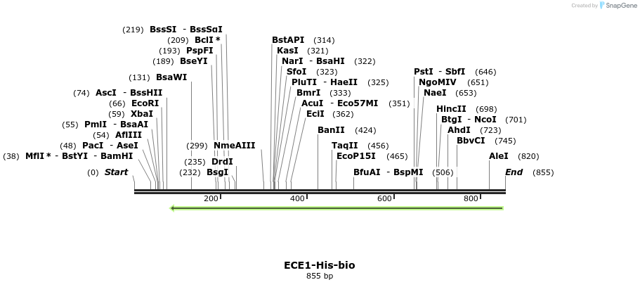 94150_map