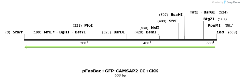 94151_map
