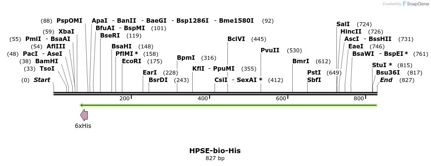 94152_map
