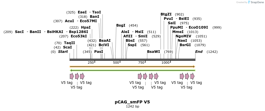 94153_map