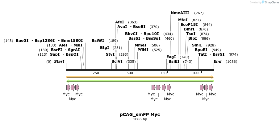 94154_map