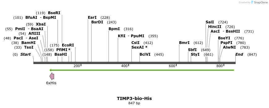 94155_map