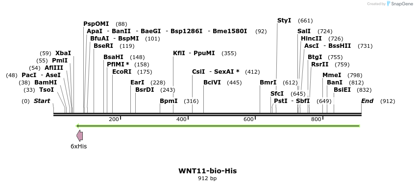 94158_map