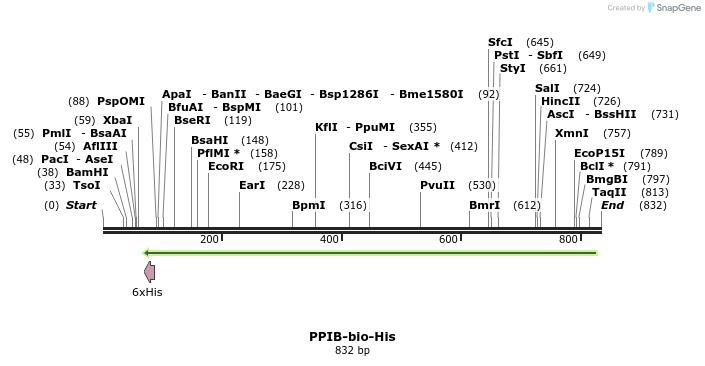 94159_map