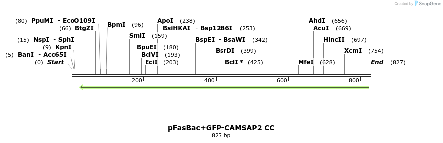 94161_map