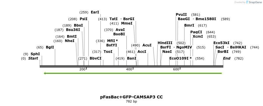 94162_map