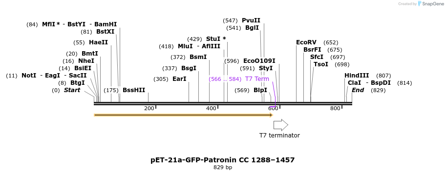 94165_map