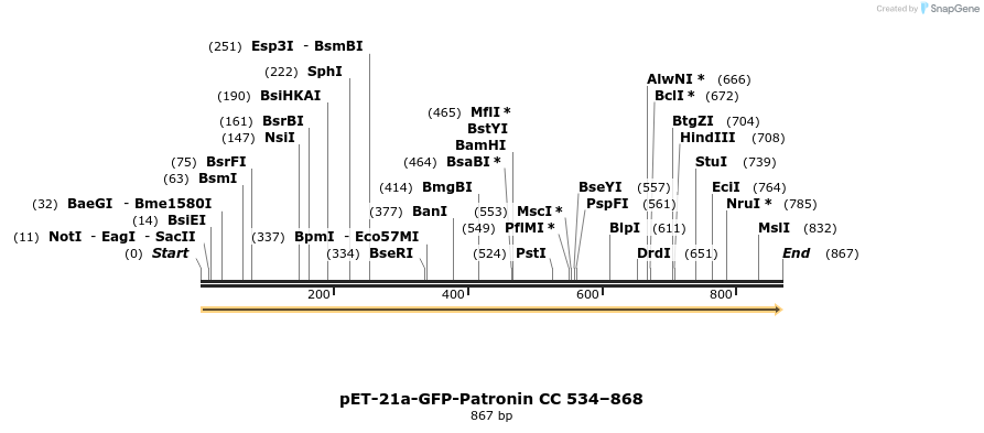 94166_map