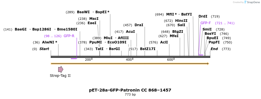 94167_map