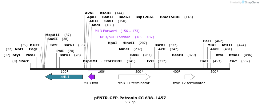 94169_map