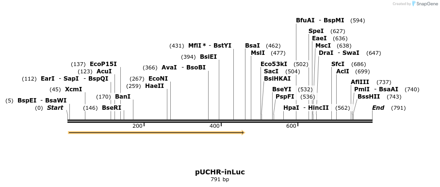 94171_map