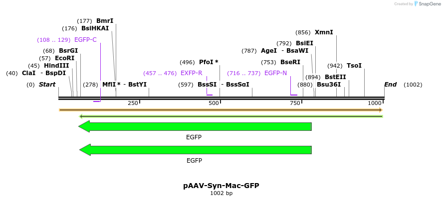 94172_map