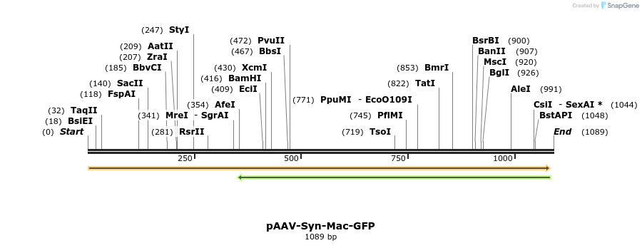 94173_map