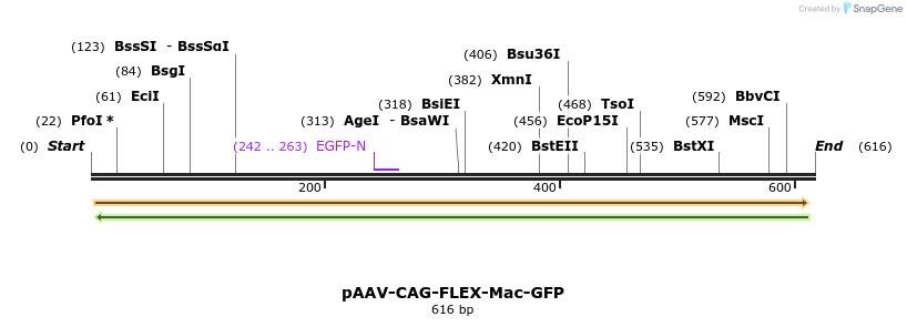 94178_map