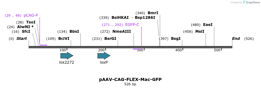 94179_map