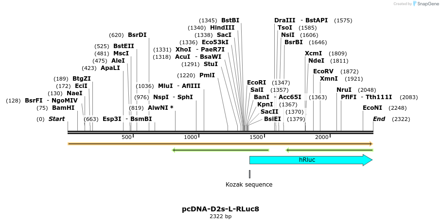 9418_map