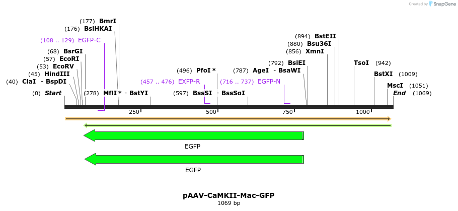 94184_map